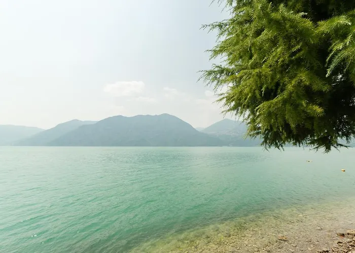Nest On The Lake